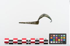 Foto von Bronzekahnfibel (NHMW-PRAE-024377)